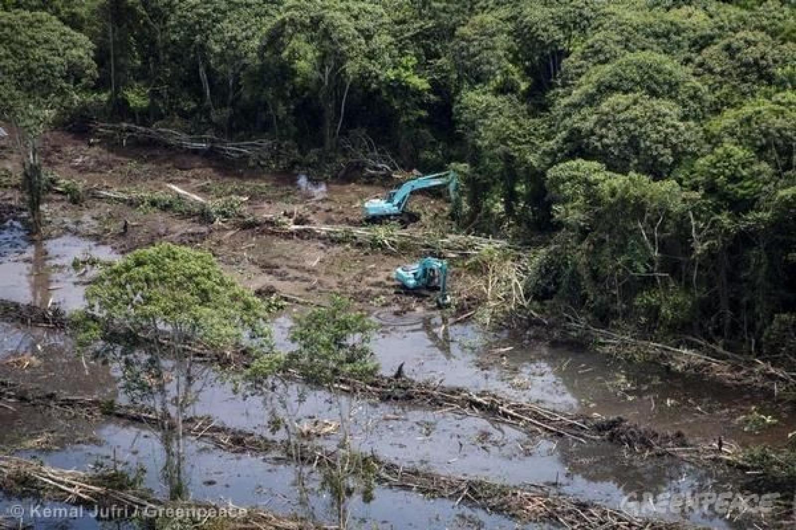 Tout le monde connaît le shampoing Heads and Shoulders ou la mousse à raser Gi