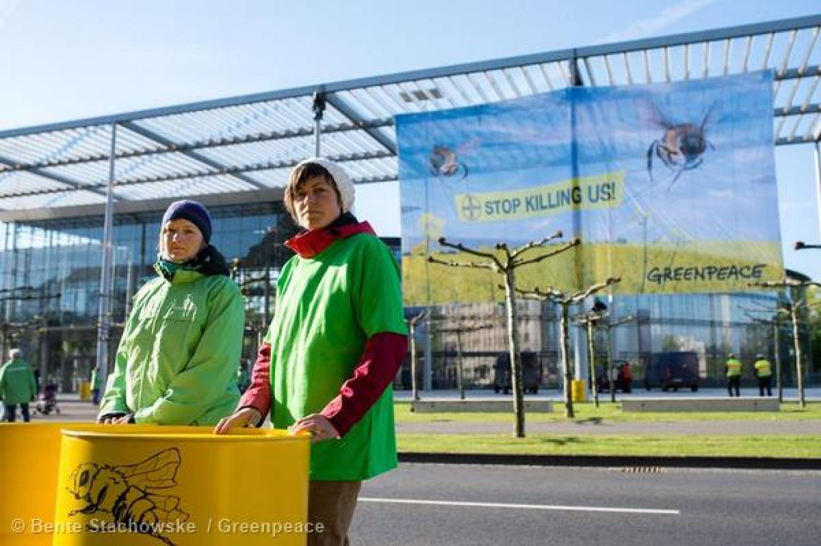 Les abeilles sont considérées comme les reines de la biodiversité. Et pourt
