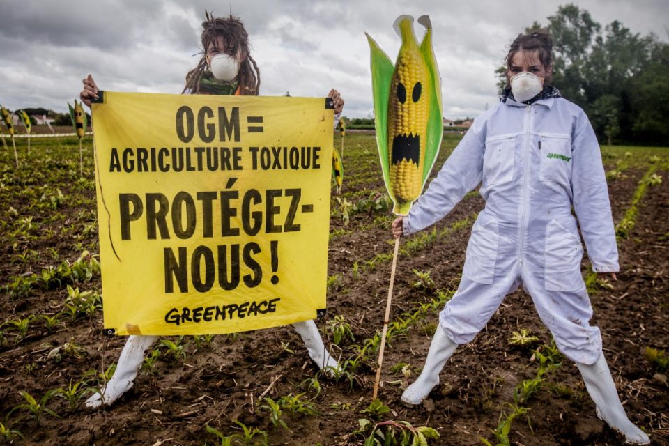 Mes des questions restent aujourd'hui sans réponse : que se passe-t-il pour les champs qui n'ont pas été découverts et dénoncés par les associations ou les citoyens ? Quels sont les moyens mis en œuvre par le gouvernement pour veiller sur les champs français ? 