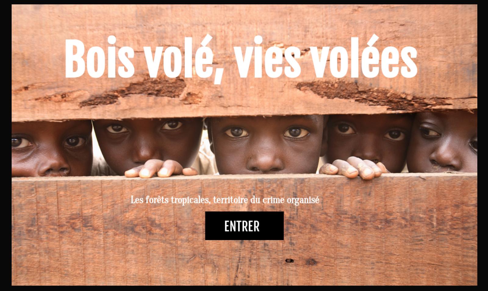  Nous appelons les autorités françaises à généraliser ces contrôles et les mesures conservatoires nécessaires, telles que l'immobilisation des grumes et l'interdiction de commercialisation, visant à éviter toute nouvelle arrivée de cargaison illégale sur le marché français. 