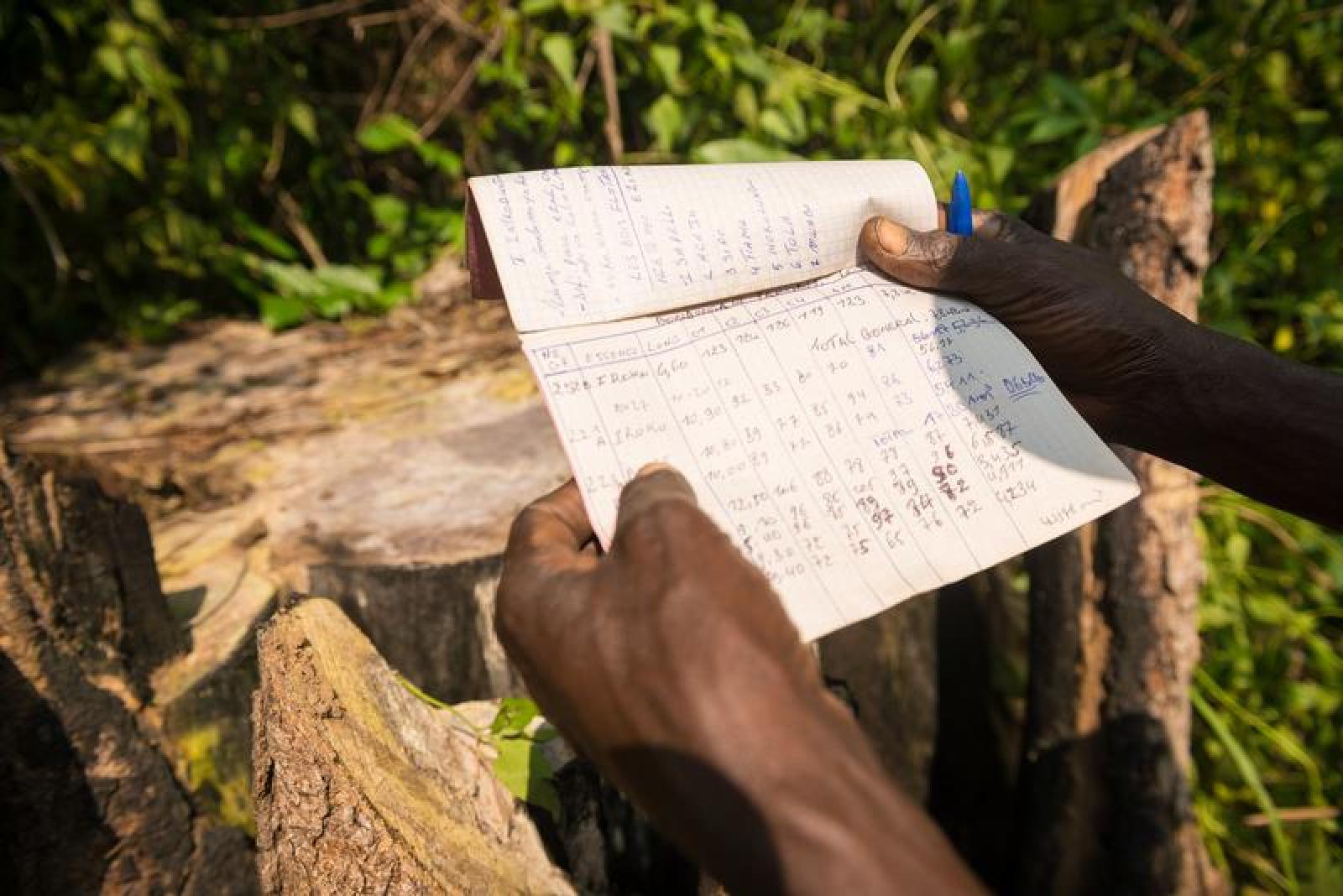 Quelques heures de marche en forêts avec un ancien cubeur ayant travaillé pour la société Cotrefor sont très riches d'enseignements.