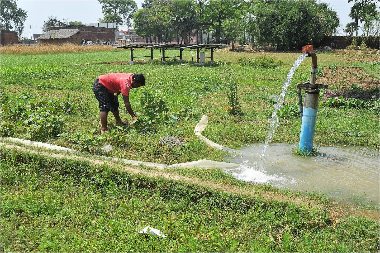Dans un pays où les énergies fossiles sont la principale source d'électricité, Dharnaï est le premier village indien à être alimenté à 100% en énergie solaire. Jean-François Julliard, directeur de Greenpeace France, s'est rendu sur place.