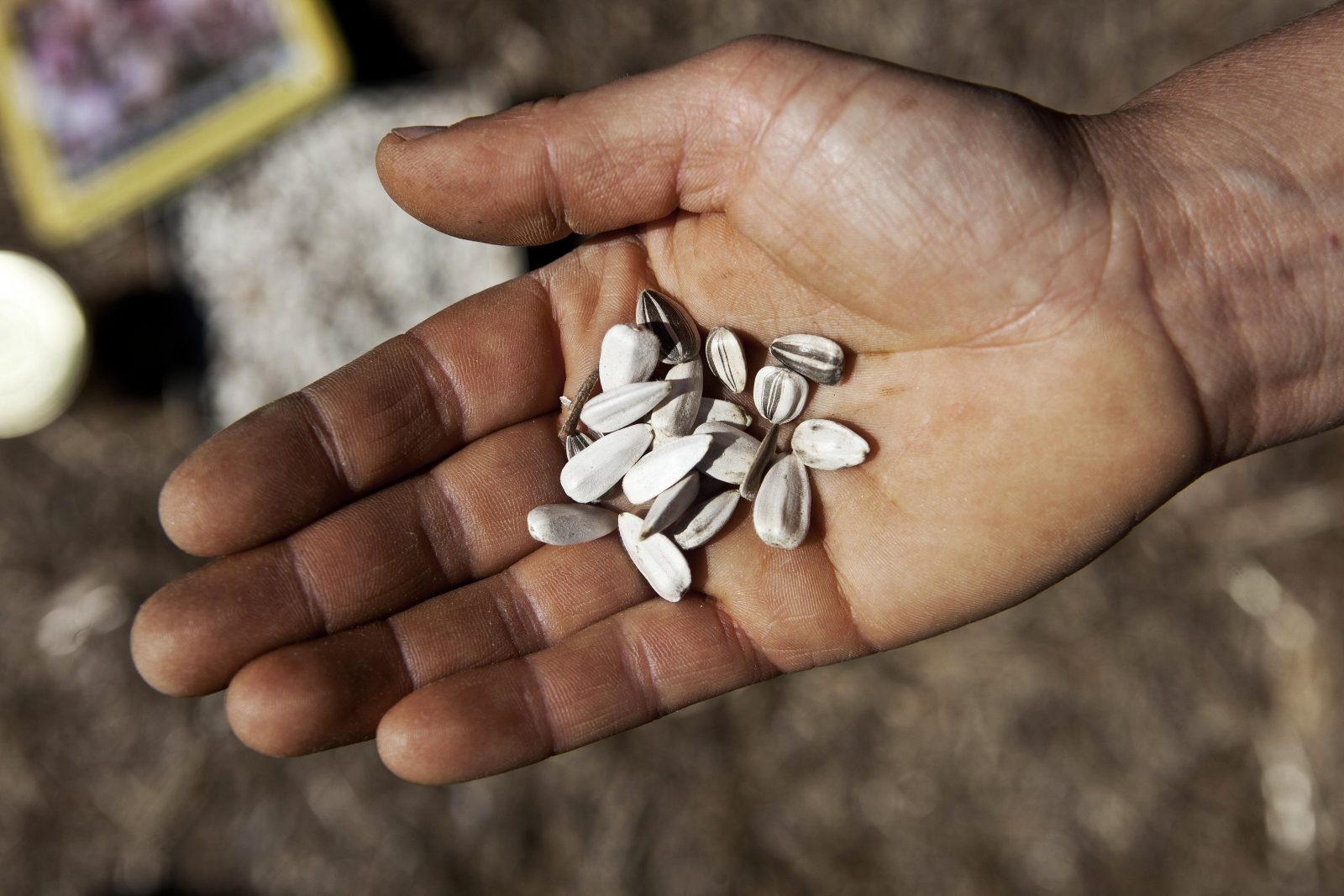 1 - Renforcer la souveraineté alimentaire

L'agriculture écologique est le