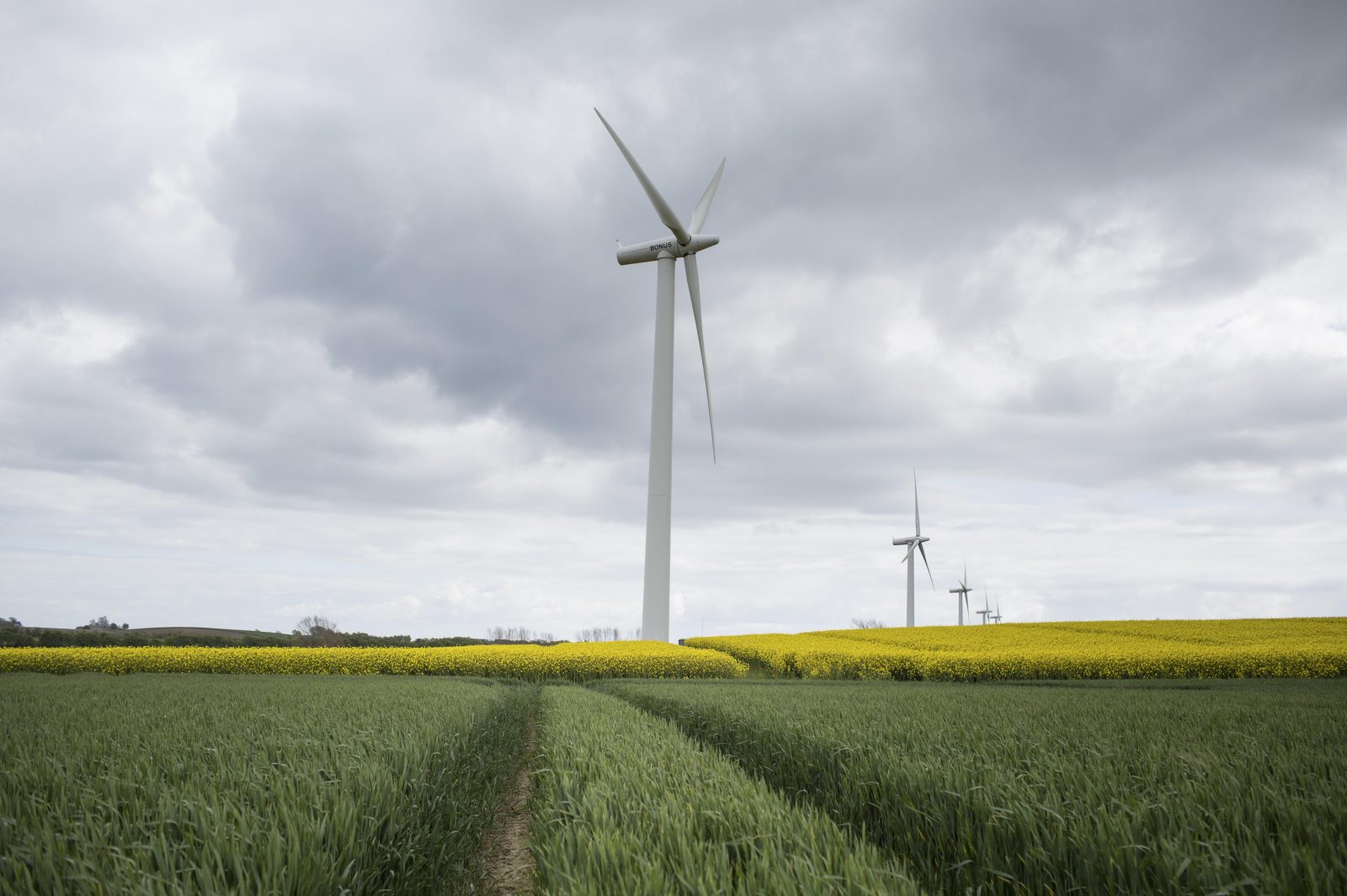 « Rêver c'est bien, réaliser c'est mieux ! » nous lance Mickaël Lars