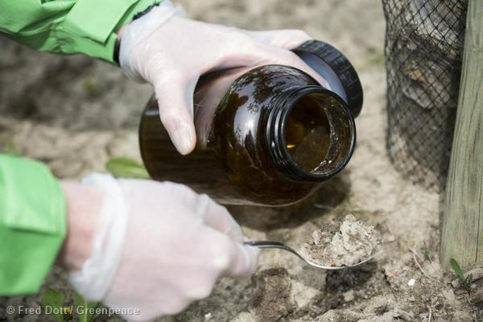 Dans plusieurs pays européens, Greenpeace publie aujourd'hui un rapport intit