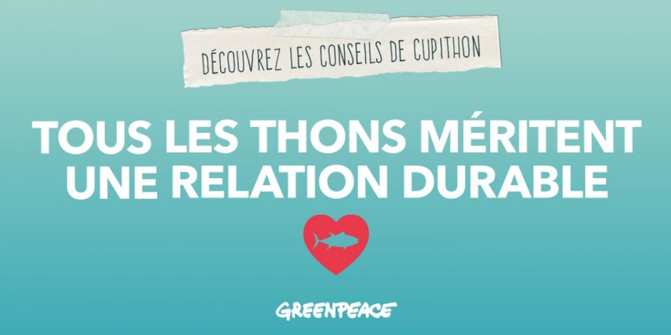 Dispositifs de concentration de poissons, diminution inquiétante des stocks... les thons tropicaux souffrent des pratiques destructrices de la pêche industrielle. 