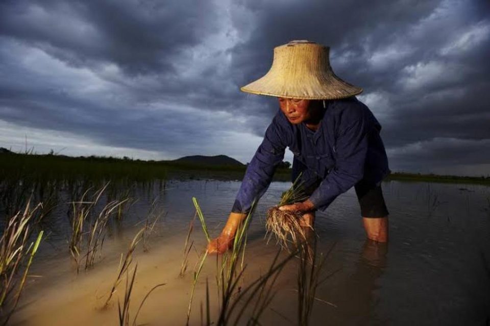  Ancrée dans l’inconscient collectif : l’idée selon laquelle l’agriculture écologique ne pourrait pas nourrir le monde. Nous pensons au contraire qu’elle est la solution, la seule alternative pour sortir d’un modèle agricole destructeur qui ne répond plus aux besoins d’aujourd’hui. Nous publions <a href=