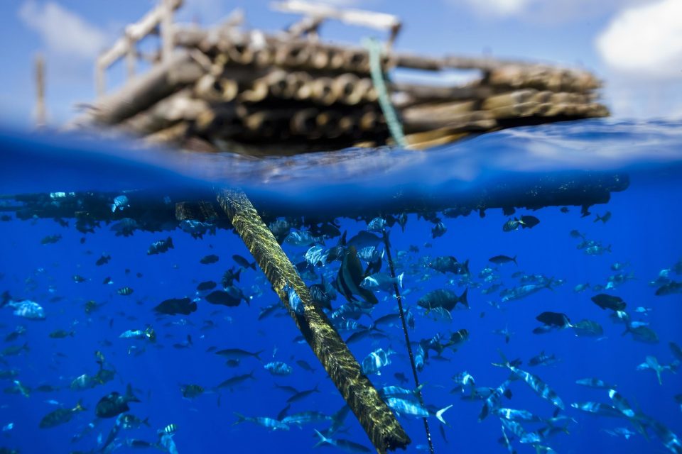 Les armateurs n’auraient-ils pas oublié quelque chose sur les rivages et récifs coralliens des îles les plus isolées des Seychelles ?