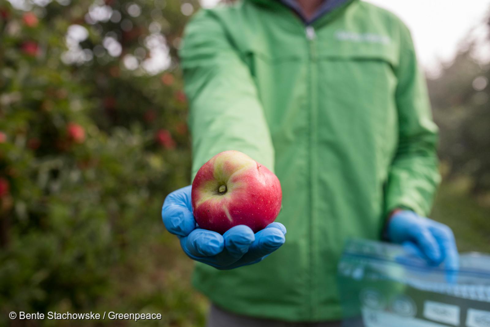 Encore une histoire de pesticides nous direz-vous. Et bien oui !
Après avoir testé 126 échantillons de pommes de table, prélevés dans 23 chaînes de supermarché présentes dans 11 pays européens, nous souhaitons remettre le couvert. 
