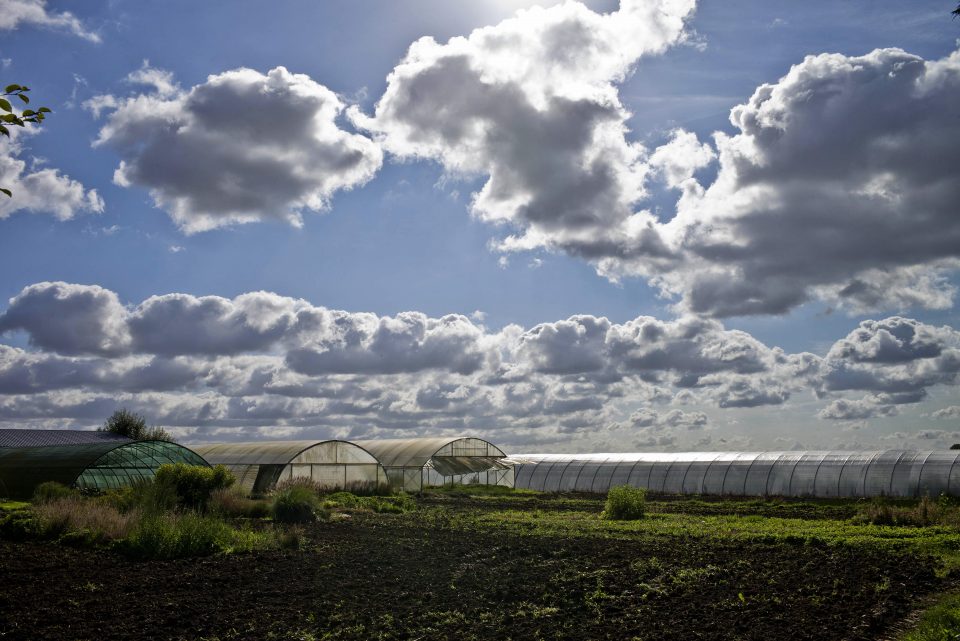 Mathieu, Aldric, Antoine, Sébastien... tous sont agriculteurs en Vendée ou en Normandie et ont pour ambition de produire mieux, en harmonie avec la nature, afin de préserver leur environnement et fournir une alimentation de qualité.