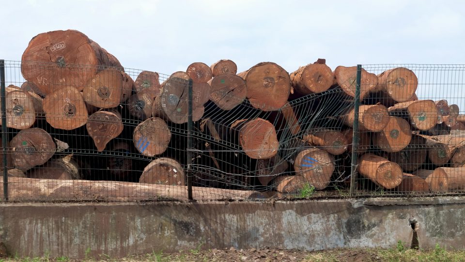 Enfin ! Avec deux ans de retard sur l’entrée en vigueur du règlement européen visant à lutter contre le trafic de bois illégal, les autorités françaises ont procédé aux premiers contrôles des importateurs de bois. Le bilan de ces inspections reste cependant insuffisant au regard du problème. 
