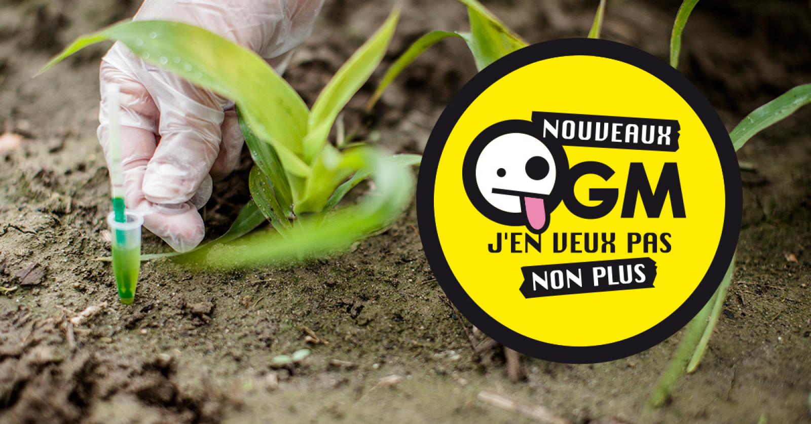 Les États-Unis font pression sur la Commission européenne pour qu'elle laisse entrer les nouveaux OGM sur le territoire européen. C'est ce que révèlent des documents de la Commission publiés aujourd'hui par Greenpeace et deux autres ONG.