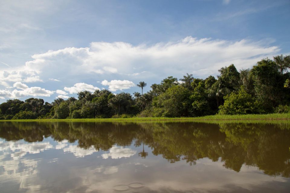 Une première victoire a été obtenue pour protéger le fleuve Tapajos, en Amazonie, et les Mundurukus qui vivent autour.