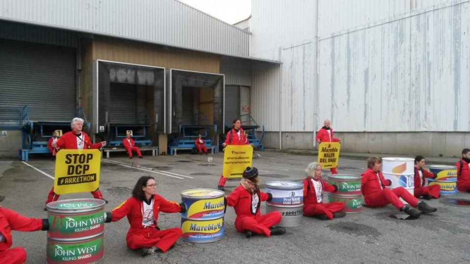 Depuis 6h50 ce matin, 25 activistes de Greenpeace bloquent l’usine Petit Navire pour dénoncer les méthodes de pêche du numéro un français du thon en boite. Des militants juchés à une dizaine de mètre de hauteur ont entrepris de repeindre la façade de l’usine tandis que seize d'entre eux, enchainés à des boites de thon géantes, bloquent l’accès aux camions de livraison.