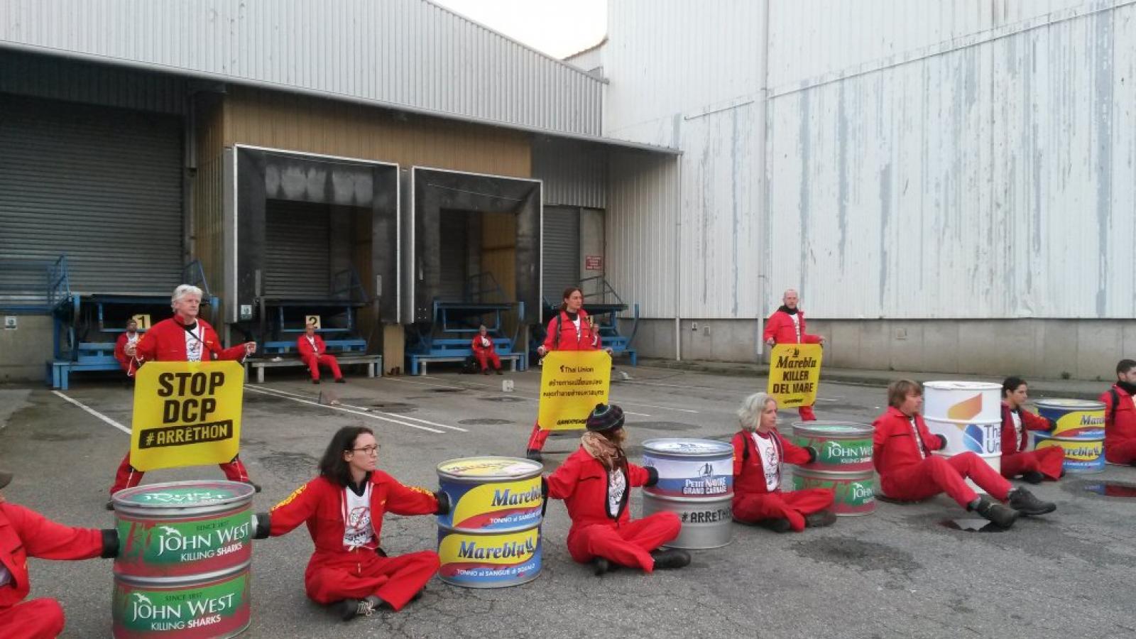 Depuis 6h50 ce matin, 25 activistes de Greenpeace bloquent l'usine Petit Navire pour dénoncer les méthodes de pêche du numéro un français du thon en boite. Des militants juchés à une dizaine de mètre de hauteur ont entrepris de repeindre la façade de l'usine tandis que seize d'entre eux, enchainés à des boites de thon géantes, bloquent l'accès aux camions de livraison.