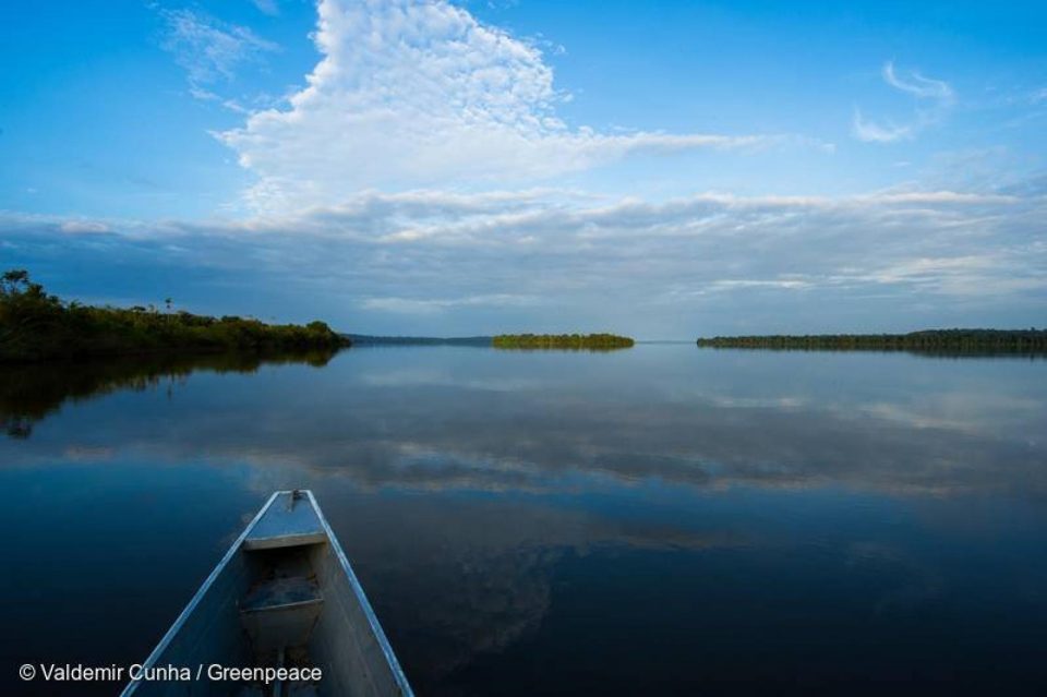 Bonne nouvelle : Engie a pris publiquement ses distances avec les projets de méga-barrage qui menacent le cœur de l’Amazonie.