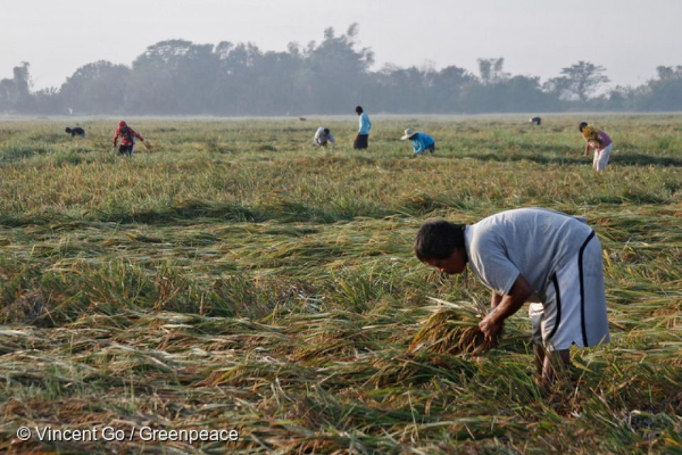 C’est une première mondiale : ce 27 juillet 2016, la Commission des droits de l’homme des Philippines a envoyé une plainte à plusieurs pollueurs pour leur contribution au dérèglement climatique.