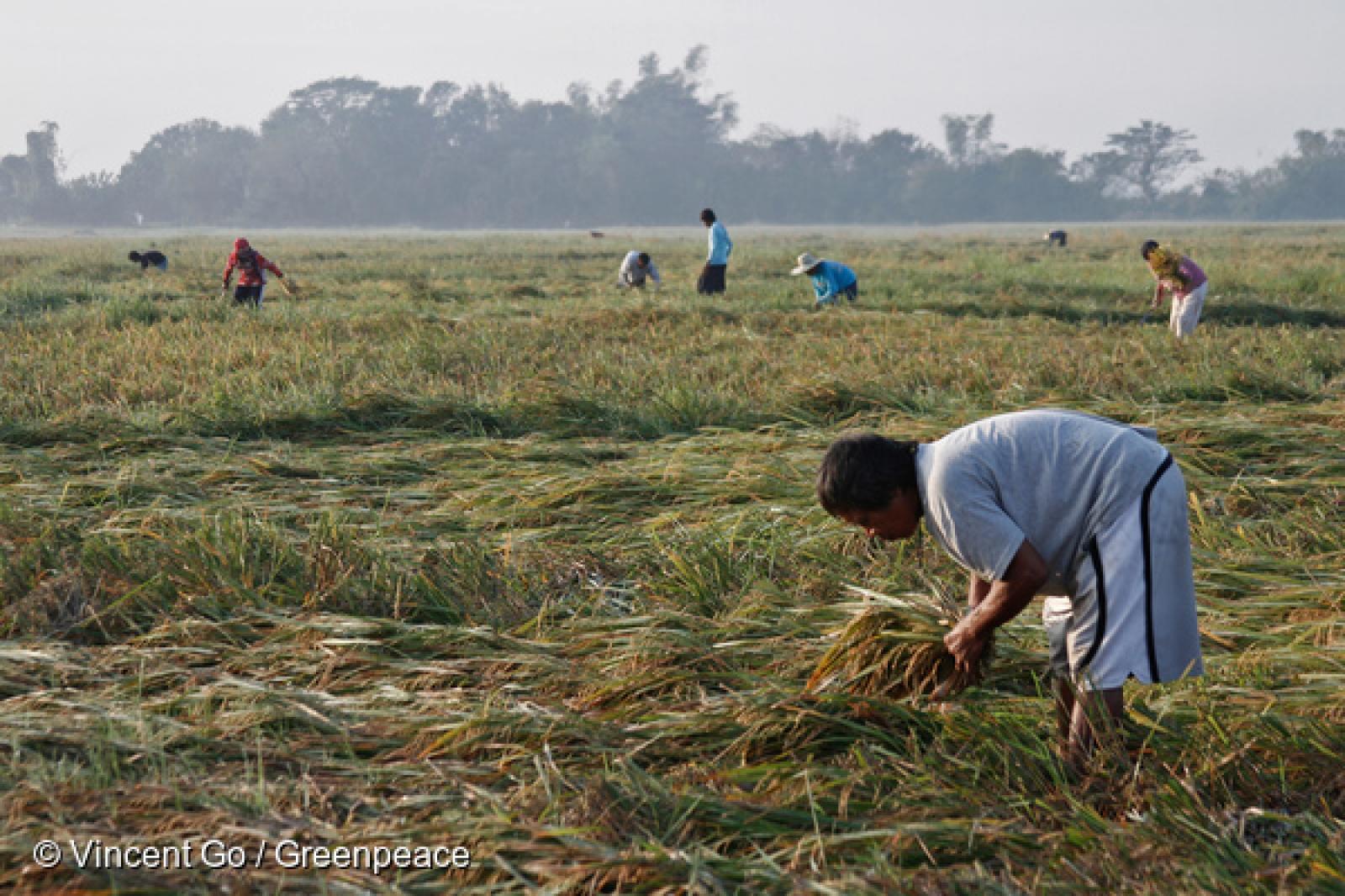 C'est une première mondiale : ce 27 juillet 2016, la Commission des droits de l'homme des Philippines a envoyé une plainte à plusieurs pollueurs pour leur contribution au dérèglement climatique.