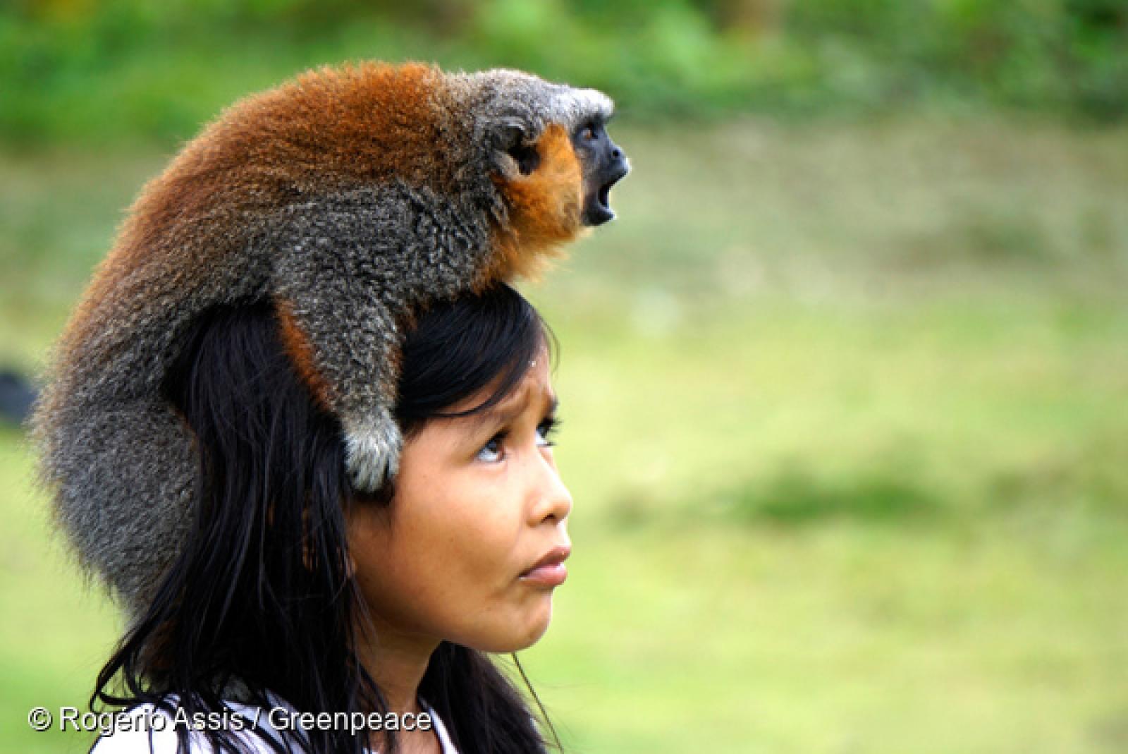 En plus d'impacter la vie des populations locales, le projet de barrage sur le fleuve Tapajos pourrait conduire à l'extinction de nombreuses plantes et animaux : un véritable désastre pour la biodiversité.