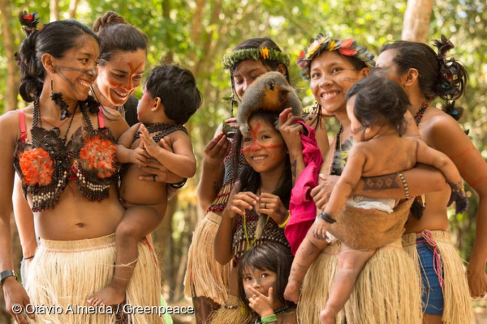 Grande nouvelle pour l’Amazonie et les Mundurukus. L’Agence environnementale brésilienne (IBAMA) vient en effet d’abroger la licence du <a href=