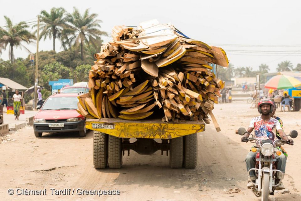 Dans l’immédiat, ça ressemble à une bonne nouvelle : le gouvernement de la République démocratique du Congo vient d’abroger des concessions forestières illégalement attribuées… par lui-même.