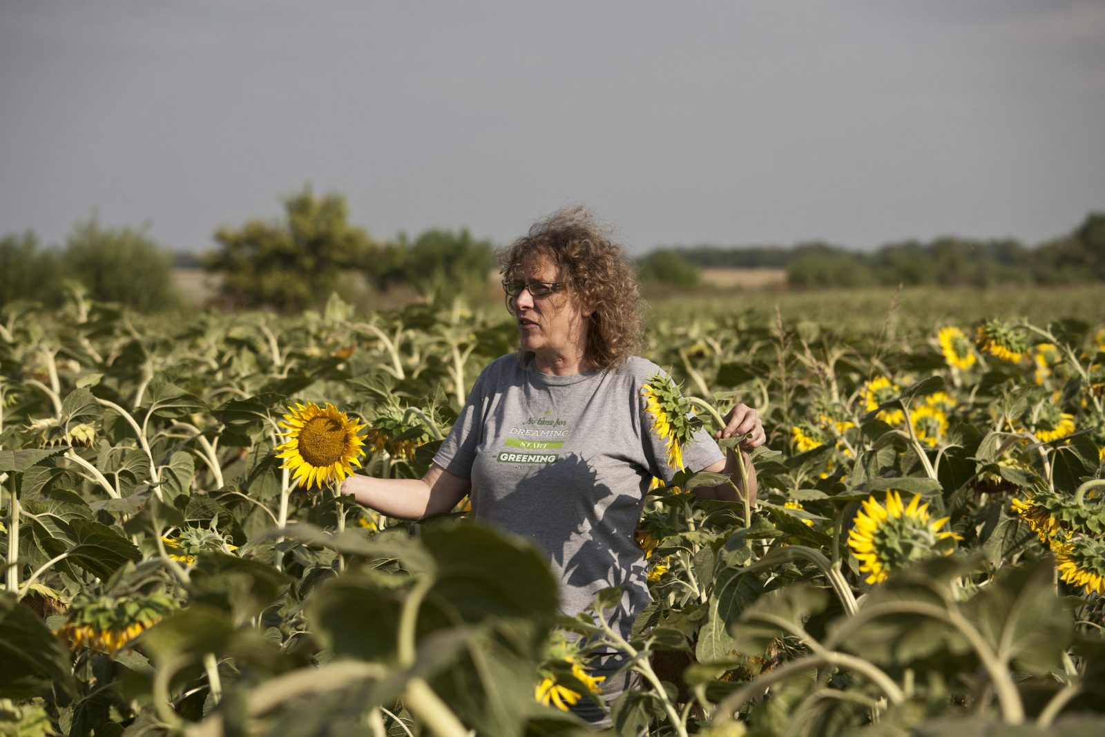 Cultiver des pommes sans intrants de synthèse ou des pommes de terre sans glyphosate, faire pousser des légumes en biodynamie... Un peu partout en Europe, le mouvement des agricultrices et agriculteurs pratiquant l'agriculture écologique ne cesse de grandir. 