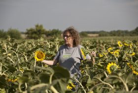 Farmers2Farmers : une plateforme pour cultiver l’agriculture écologique en Europe