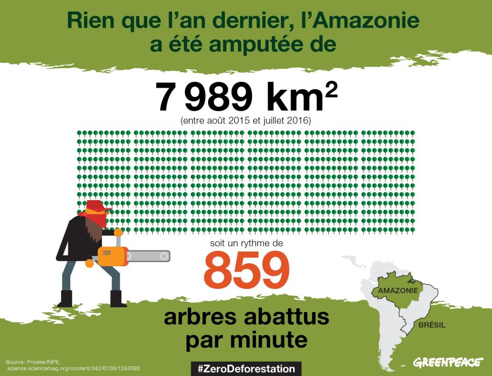 En une seule année, du mois d’août 2015 à juillet 2016, 7989 km² de forêt ont été détruits en Amazonie, soit 29% de plus que l’an dernier. Cette superficie correspond à 76 fois la surface de Paris, et signifie que 451 millions d’arbres ont été coupés, soit 859 arbres abattus chaque minute !