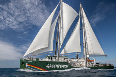 Le Rainbow Warrior jette l&rsquo;ancre à La Rochelle !