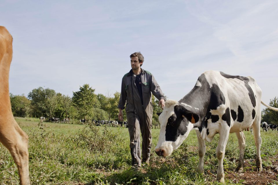 Des milliers de bébés sont nés de couples Erasmus. Greenpeace a lancé, au niveau européen, un programme d’échanges intitulé FarmErasmus et qui doit permettre aux agriculteur-rices de partager leurs connaissances sur l’agriculture écologique. Combien de projets d’agriculture écologique naîtront du programme FarmErasmus ?
