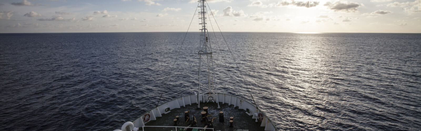 Le financement de Greenpeace France est assuré à 100% par ses donateurs individuels et privés, les adhérent·es de l'association.