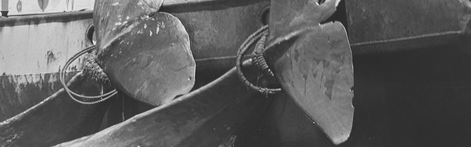 Moratoire international sur la chasse à la baleine
