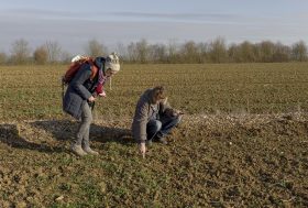 FarmErasmus : des agriculteurs belges et italiens invités par leurs collègues français
