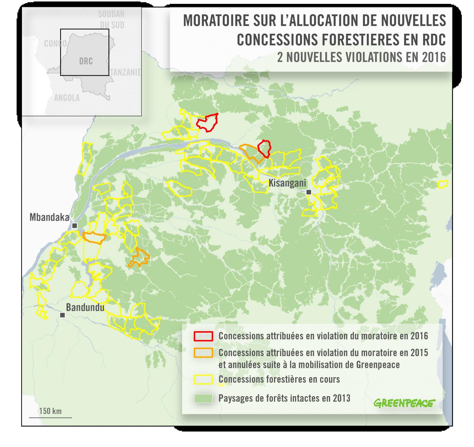Le secteur forestier de la RDC reste gangrené par d'inquiétantes irrégulari