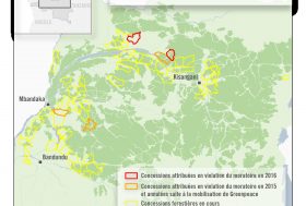 La RDC reçoit des millions pour sauver la forêt, alors qu’elle attribue des concessions illégales