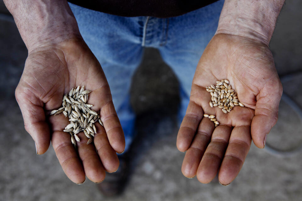 Essaimer l'agriculture écologique en Europe