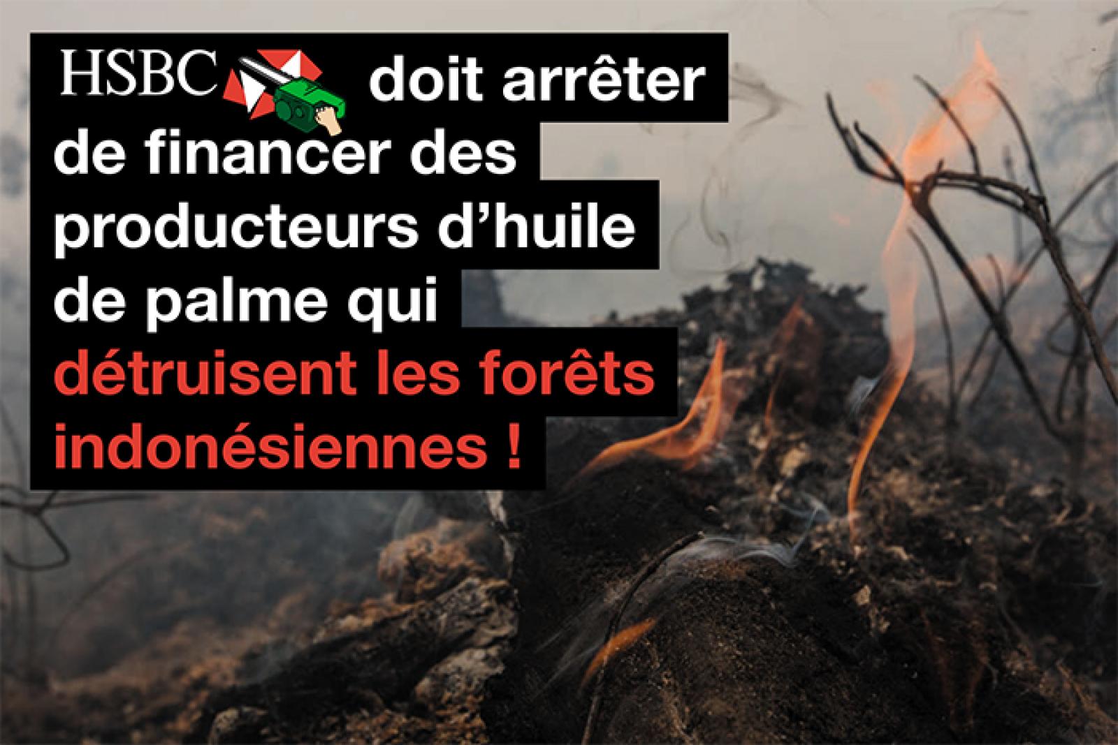 Il y a une quinzaine de jours, Greenpeace épinglait la HSBC en faisant la lumière sur sa contribution financière à la déforestation en Indonésie. Grâce à une mobilisation internationale, la pression continue de monter autour de la plus grande banque d'Europe. Ces derniers jours, les militants de Greenpeace étaient sur le terrain pour dénoncer les agissements du groupe.