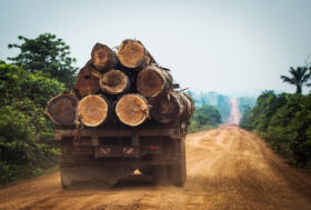 Lutte contre le bois illégal