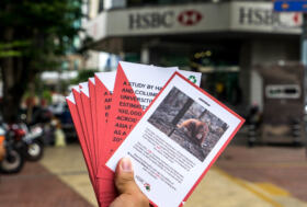 Déforestation : HSBC prend des engagements