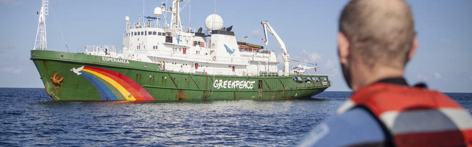 Au premier plan, un militant de dos regarde au loin l'Esperanza. C'est un message d'espoir. - L'Esperanza dans l'océan Indien dans sa lutte non-violente pour une pêche durable.© Will Rose / Greenpeace