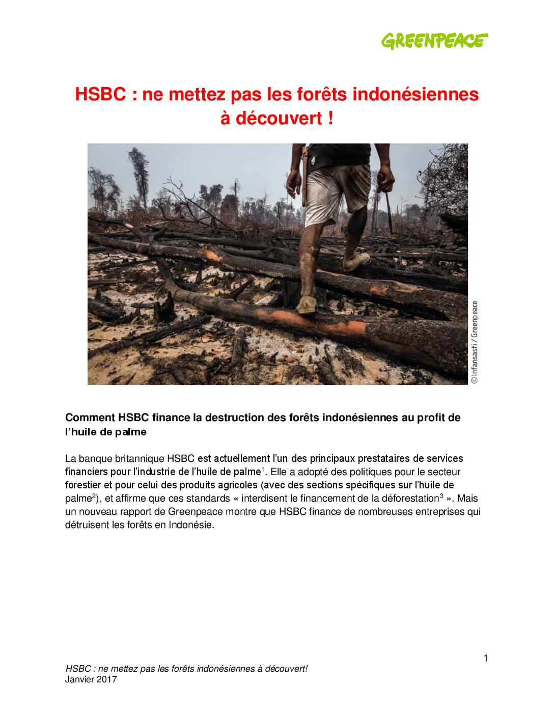 HSBC : ne mettez pas les forêts indonésiennes à découvert !