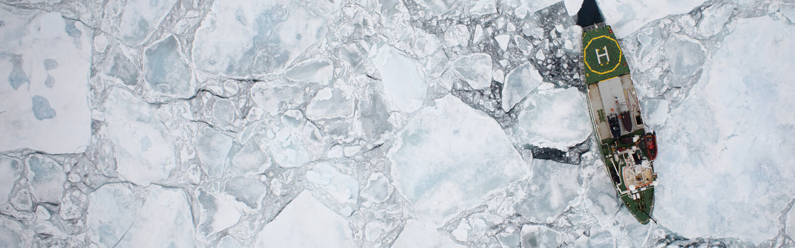 Ne laissons pas l'Arctique disparaître