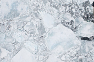 Sauvons l&rsquo;Arctique