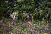 Quand le Brésil recule sur la protection de la forêt amazonienne