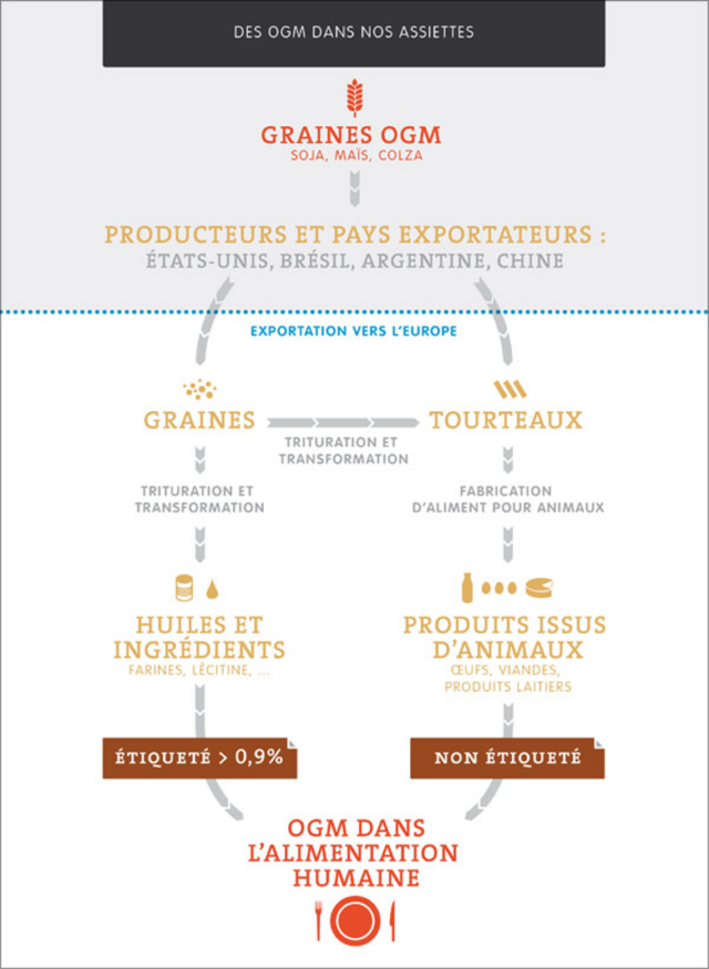 Quelle est la réglementation en matière d’OGM ? - Greenpeace France