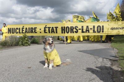Nucléaire : le scandale des anomalies prend une nouvelle ampleur