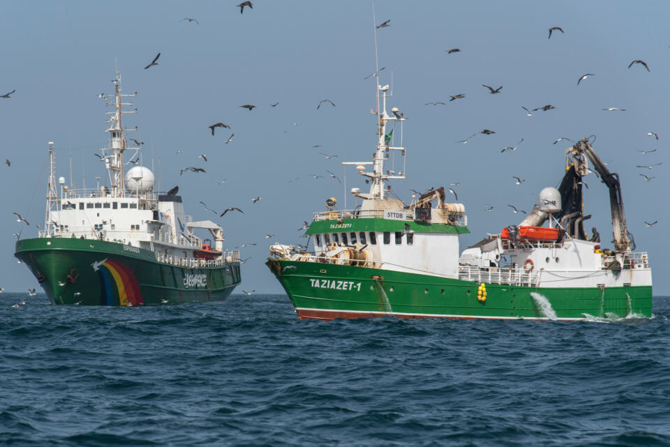 Pas de répit pour l’<i>Esperanza</i> ! Après le Brésil, où l’équipage a réalisé les toutes premières images d’un récif corallien menacé par Total, notre bateau emblématique a mis le cap sur l’Afrique de l’Ouest. En ligne de mire : la pêche illégale qui décime les eaux poissonneuses de cette région. 