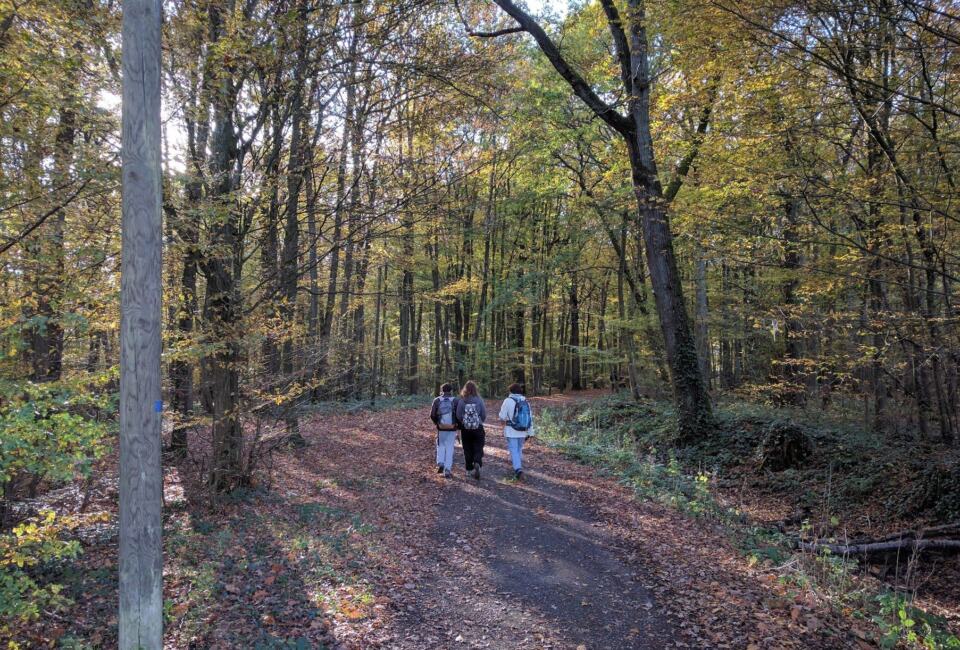 Parcourir en équipe de 4 personnes 100 km en moins de 30 heures? C'est le défi