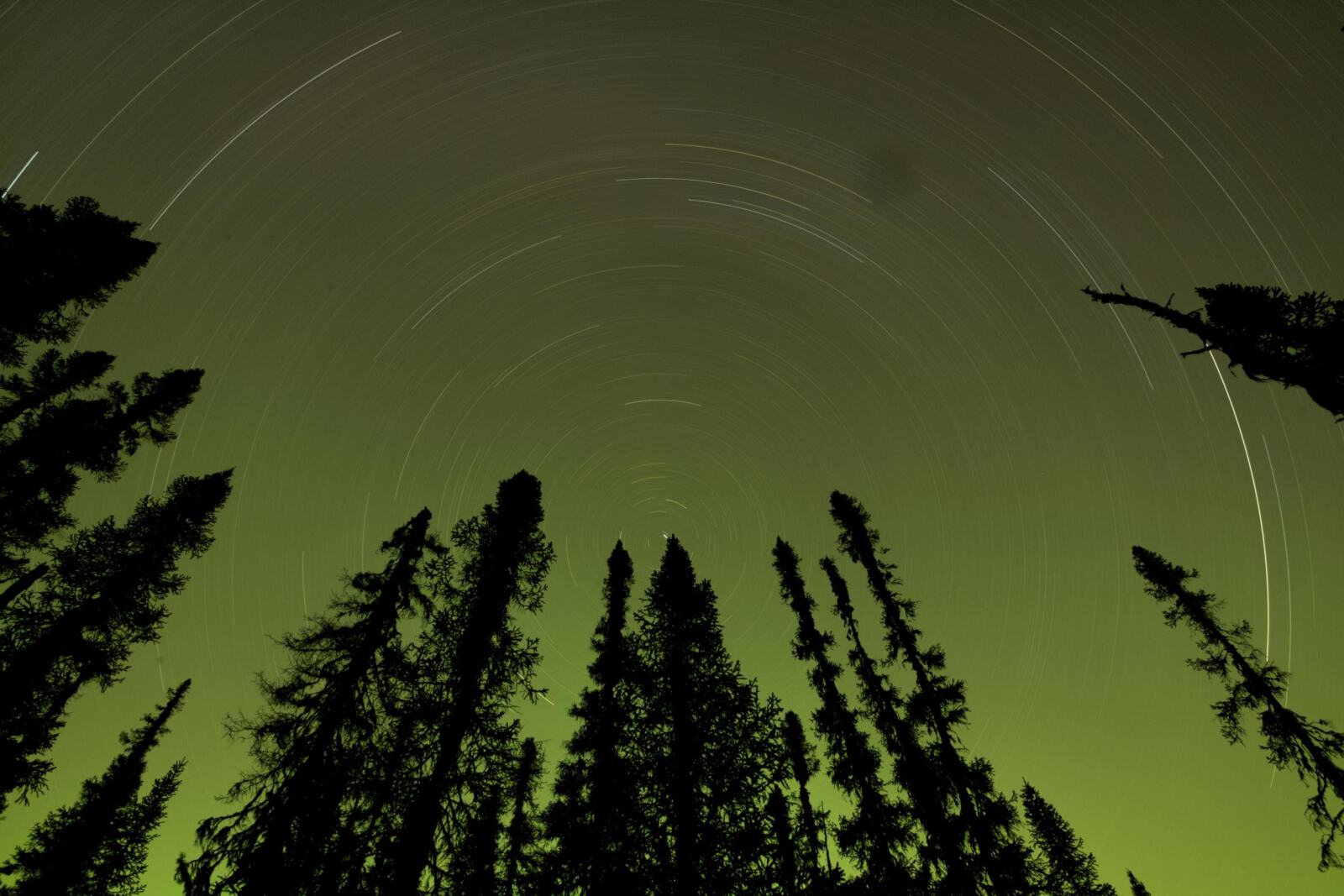 La liberté d'expression est un droit. Alors comment une entreprise peut-elle nous empêcher de l'exercer ? C'est simple : en utilisant une tactique légale appelée “SLAPP” (ou poursuite-bâillon) comme le fait en ce moment l'entreprise canadienne Produits Forestiers Résolu. Ils portent atteinte au droit de parole en poursuivant leurs détracteurs (Greenpeace et ses alliés) pour faire taire les critiques contre leurs mauvaises pratiques. Faisons entendre nos voix !