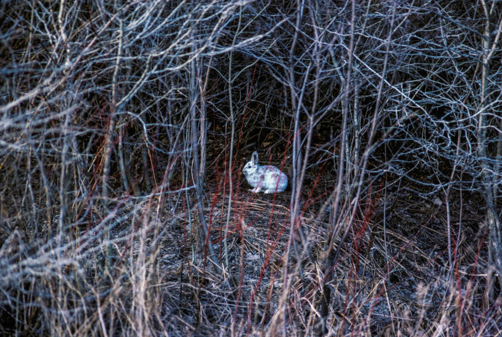 Dans le monde entier, la liberté d'expression des citoyen-ne-s est menacée par de nombreuses attaques dirigées par des gouvernements répressifs, mais aussi par des entreprises qui, en catimini, tentent d'étouffer les voix qui les dérangent. Retour sur ces « procédures-bâillons » qui se multiplient et compromettent la capacité de la société civile à se battre pour un monde plus écologique, plus solidaire et plus juste.